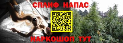 сатива Балашиха