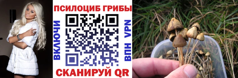 Псилоцибиновые грибы Magic Shrooms  Белая Калитва 