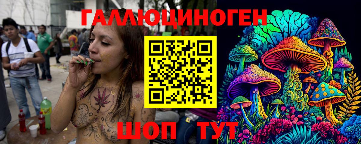 Псилоцибиновые грибы Psilocybine cubensis Белая Калитва