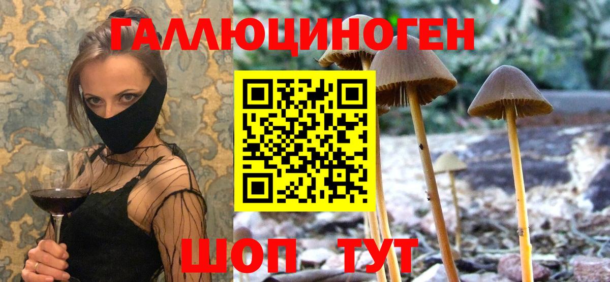 Галлюциногенные грибы мухоморы  Псилоцибиновые грибы мицелий  Белая Калитва  Вход с VPN 